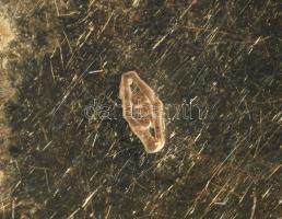 Verlauf elrendezésű korall nyaklánc arany 375 (Au) kapoccsal, jelzett, nyelves záródás, szemátmérő: ...