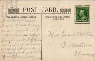 Nobody loves me - guess I'll be a suffragette! Anti-suffrage propaganda, mocking humour s: Ryan...