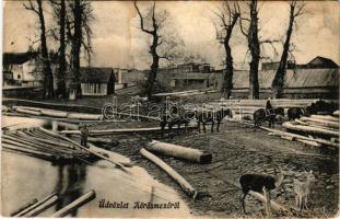 1910 Kőrösmező, Körösmező, Jaszinya, Jasina, Yasinia; tutaj, látkép állatokkal. Rosenblüth Emánuel k...