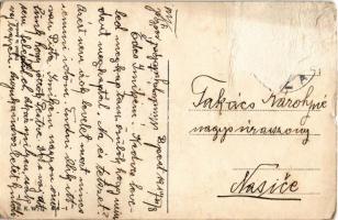 1917 Wiener Art Nouveau postcard, lady with swan. B.K.W.I. 656-1. s: Mia Witt (Rb)