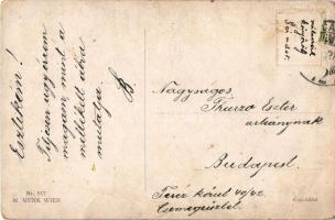 Art Nouveau lady art postcard. M. Munk Wien Nr. 917. s: Olga Mulacz (kopott sarkak / worn corners)