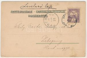 1901 Elfentanz / Art Nouveau litho lady art postcard. B. &amp; S. W. s: Raphael Kirchner (EK)