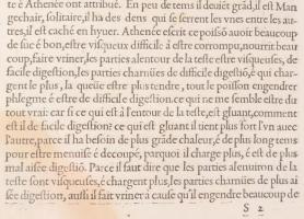 ca 1550. Des Poissons - Orphe (lat: Cernua). Pierre Belon L'histoire naturelle des estranges po...