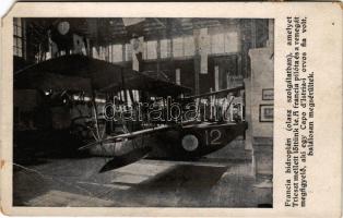 1917 Francia hidroplán (olasz szolgálatban), amelyet Trieszt mellett lőttünk le. A francia pilóta és...