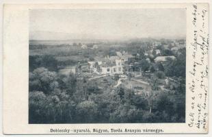 1918 Bágyon, Badeni (Torda); Dobieczky nyaraló / villa (EK)