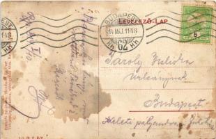 1914 Budapest XIV. Városliget, Angol Park, Alpesi falu (fl)