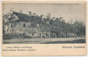 Csatád, Lenauheim (Temes); Nikolaus Lenau költő szülőháza / birth house of the poet Lenau (EB)