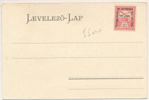 Csatád, Lenauheim (Temes); Községháza, Lenau tér. Bierbaum Gyula felvétele / town hall, square