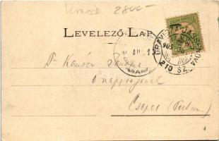 1905 Anina, Stájerlakanina, Stájerlak, Steierdorf; szénbánya. Hollschütz kiadása / coal mine + &quot...