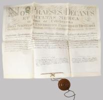 1874 Lechner Károly (1850-1922) orvos, elmegyógyász, egyetemi tanár, a Magyar Tudományos Akadémia le...