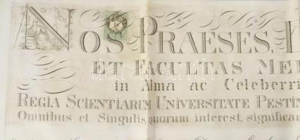 1874 Lechner Károly (1850-1922) orvos, elmegyógyász, egyetemi tanár, a Magyar Tudományos Akadémia le...