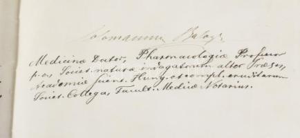 1874 Lechner Károly (1850-1922) orvos, elmegyógyász, egyetemi tanár, a Magyar Tudományos Akadémia le...