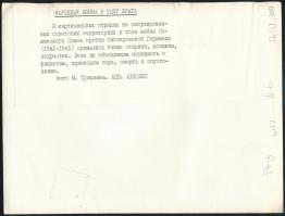 1944 Szovjet partizánok feliratozott sajtófotó Trakhman APN 24x16 cm
