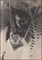 cca 1935 Vándor Géza (1898-1956) Exotis Sauze kölni reklám fotogram montázs. Zselatinos ezüst nagyít...
