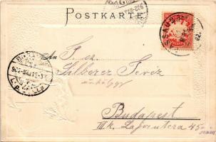 1902 Passau. Verlag M. Gruber Passepartoutkarte Art Nouveau, Emb. litho with coat of arms (tiny pinh...
