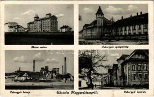 1943 Diószeg, Magyardiószeg, Madarsky Diosek, Dioseg, Sládkovicovo; Mária malom, Cukorgyári igazgató...