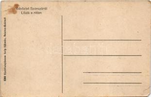 Balatonszárszó, Szárszó; Libák a réten. Szép Kálmán kiadása (EM)