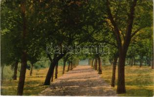 Balatonszárszó, Szárszó; Park részlet, Erzsébet kert. Szép Kálmán kiadása (EK)