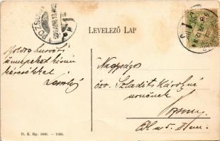 1906 Kolozsvár, Cluj; Szamos részlet, híd. D.K. Bp. 1906.-1160. / Somes riverside, bridge (gyűrődés ...