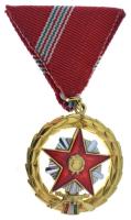 1964. "Kiváló Szolgálatért Érdemérem" aranyozott, ezüstözött, műgyantás kitüntetés, az elt...