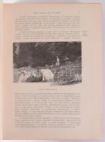 Borovszky Samu: Bihar vármegye és Nagyvárad. Szerk.: Dr. - -. Magyarország vármegyéi és városai. Mag...