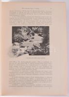 Borovszky Samu: Bihar vármegye és Nagyvárad. Szerk.: Dr. - -. Magyarország vármegyéi és városai. Mag...