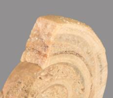 Csiga fosszília kristály zárványokkal, 6x5 cm