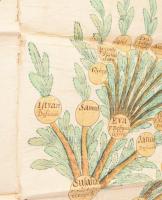 1753-1757 "Familia Kamarás" családfája, kézzel festett, latin nyelvű szöveggel, papír vász...