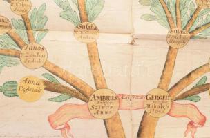 1753-1757 "Familia Kamarás" családfája, kézzel festett, latin nyelvű szöveggel, papír vász...