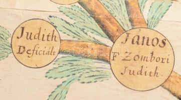 1753-1757 "Familia Kamarás" családfája, kézzel festett, latin nyelvű szöveggel, papír vász...