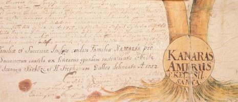 1753-1757 "Familia Kamarás" családfája, kézzel festett, latin nyelvű szöveggel, papír vász...