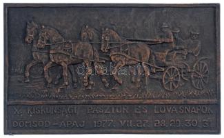 1977. "A X. Kiskunsági Pásztor és Lovas Napok Dömsöd-Apaj 1977. VII. 27. 28. 29. 30. 31." ...