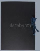 Deák Ferenc élet- és jellemrajza. Szül. 1803. okt. 17. - 1876. jan. 28. Bp., 1876, Athenaeum-ny., 52...