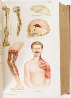 Platen, M[oritz]: Az új gyógymód. A természetszerű életmódnak, az egészség ápolásának és a gyógyszer...