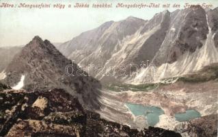 Tátra Menguszfalvi völgy, Békás-tó