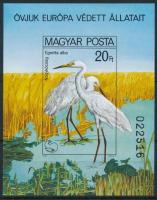 1980 Madarak (IX.) - Védett vízimadarak vágott blokk (6.000)