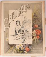 Segítség. Az Eperjes-Nagykároly-Toroczkói tűzkárosultak emlékalbuma. Szerk.: Jókai Mór, Roskovics Ig...