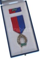 1992. "Köztársasági Őrezredi Szolgálati Jel 30 év után" zománcozott, jelzett Ag kitüntetés...