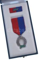 1992. "Köztársasági Őrezredi Szolgálati Jel 10 év után" zománcozott, jelzett Ag kitüntetés...