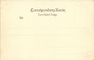 Kaiser Franz Josef erhält besteigt... Druck und Verlag von Stefan Sandner Nr. 5. / Franz Josef of Au...