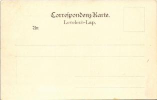 Kaiser Franz Josef bringt am... Druck und Verlag von Stefan Sandner Nr. 6. / Franz Josef of Austria ...