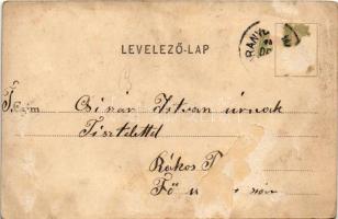 Aranyosmarót, Aranyos-Maróth, Zlaté Moravce; látkép, Rakovszky István üzlete, könyv- és papírkereske...