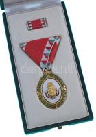2002. "Szolgálati Érdemjel Arany Fokozat" részben aranyozott, zománcozott tombak kitünteté...