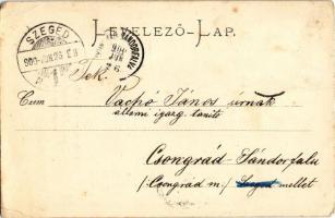 1900 Zsolt, Zljechó, Zliechov; Vágvölgy, Zliechó Sztrazsow heggyel. Gansel Lipót 142. / Das Waagthal...