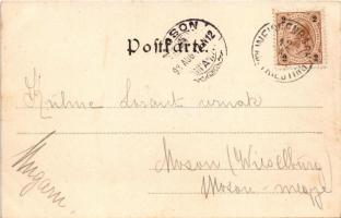 1898 Steinwandklamm, Kohl's Gasthaus, Partie, Eingang in die Steinwandklamm / gorge, mountain p...