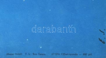 Ernyei Sándor (1924-2000): Akit üldöznek a nők, 1967, filmplakát, papír, jelzett a plakáton. Offset-...