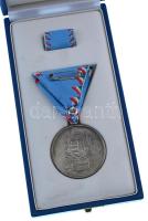 2000. "Árvízvédelemért Szolgálati Jel" ezüstszínű érem mellszalagon, szalagsávval dísztokb...