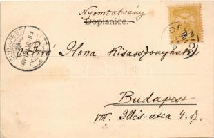 1904 Delnice, Setaliste, Svratiste Kolodvoru / sétány, vasúti vendéglő, étterem. Zagar Fotograf / pr...