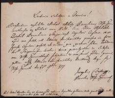 1817 Kisgyarmat, Csejtey József saját kézzel írt sorai