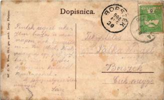 1908 Pleternice, Pleterniceszentmiklós, Pleternica; utca / street view (r)